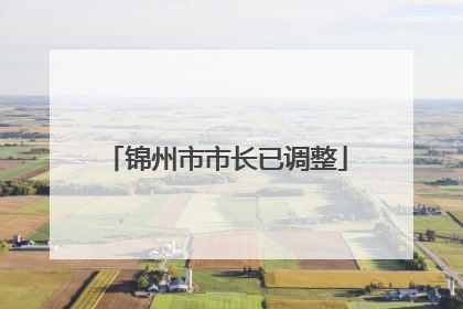 锦州市市长已调整