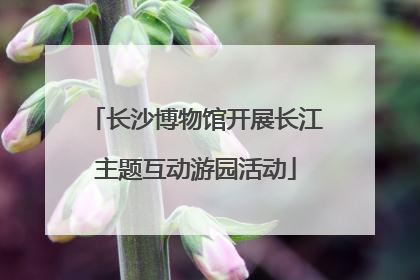 长沙博物馆开展长江主题互动游园活动