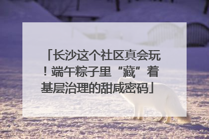 长沙这个社区真会玩！端午粽子里“藏”着基层治理的甜咸密码