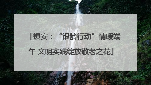 镇安：“银龄行动”情暖端午 文明实践绽放敬老之花