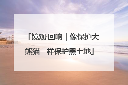 镜观·回响｜像保护大熊猫一样保护黑土地