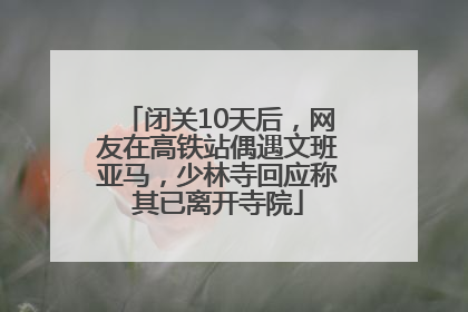 闭关10天后，网友在高铁站偶遇文班亚马，少林寺回应称其已离开寺院