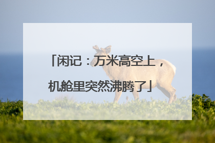 闲记：万米高空上，机舱里突然沸腾了