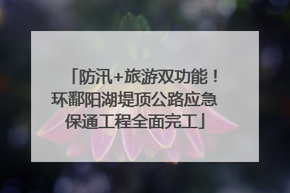 防汛+旅游双功能！环鄱阳湖堤顶公路应急保通工程全面完工