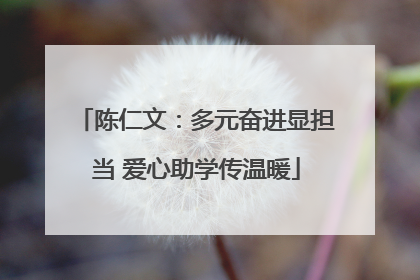 陈仁文：多元奋进显担当 爱心助学传温暖
