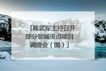 陈武军主持召开部分领域重点项目调度会（图）