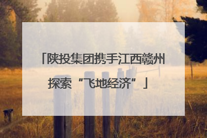 陕投集团携手江西赣州 探索“飞地经济”