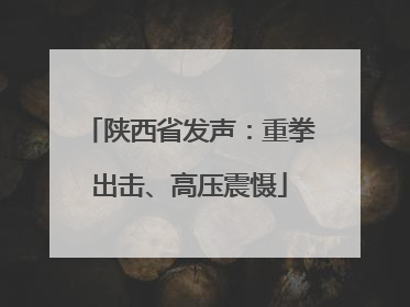 陕西省发声：重拳出击、高压震慑
