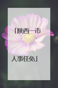 陕西一市人事任免