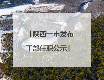 陕西一市发布干部任职公示
