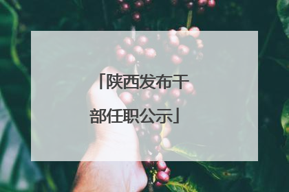 陕西发布干部任职公示