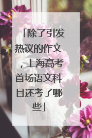除了引发热议的作文，上海高考首场语文科目还考了哪些