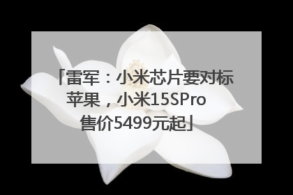 雷军：小米芯片要对标苹果，小米15SPro售价5499元起