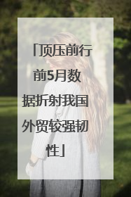 顶压前行 前5月数据折射我国外贸较强韧性
