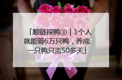 顺链探鸭③｜1个人就能管6万只鸭，养成一只鸭只需50多天