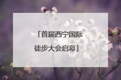首届西宁国际徒步大会启幕
