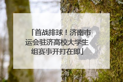 首战排球！济南市运会驻济高校大学生组赛事开打在即