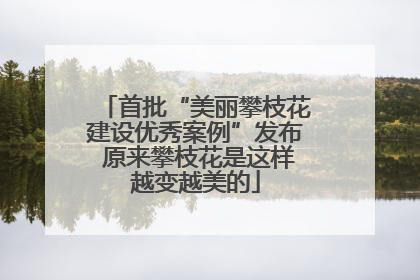 首批“美丽攀枝花建设优秀案例”发布 原来攀枝花是这样越变越美的