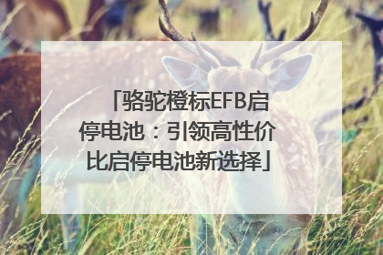 骆驼橙标EFB启停电池：引领高性价比启停电池新选择