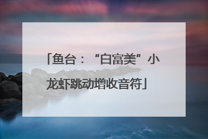 鱼台：“白富美”小龙虾跳动增收音符