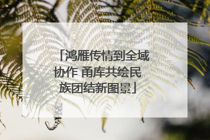 鸿雁传情到全域协作 甬库共绘民族团结新图景