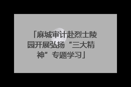 麻城审计赴烈士陵园开展弘扬“三大精神”专题学习