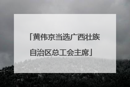 黄伟京当选广西壮族自治区总工会主席