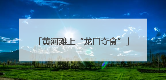 黄河滩上“龙口夺食”