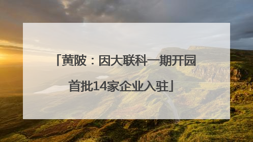 黄陂：因大联科一期开园 首批14家企业入驻