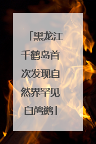 黑龙江千鹤岛首次发现自然界罕见白鸬鹚