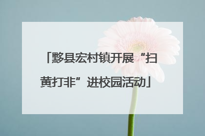 黟县宏村镇开展“扫黄打非”进校园活动