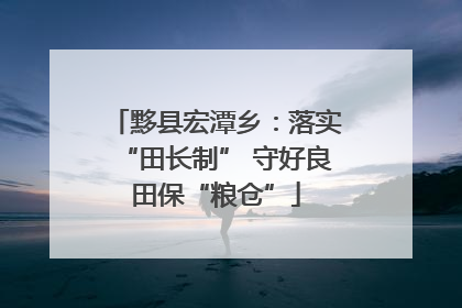 黟县宏潭乡：落实“田长制” 守好良田保“粮仓”