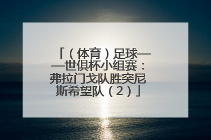 （体育）足球——世俱杯小组赛：弗拉门戈队胜突尼斯希望队（2）
