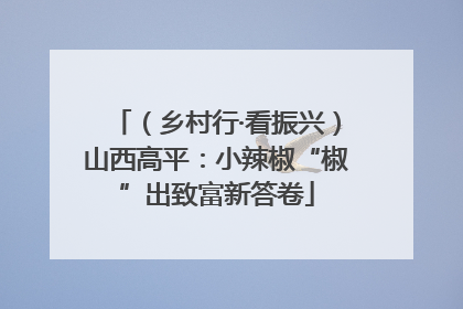 （乡村行·看振兴）山西高平：小辣椒“椒”出致富新答卷