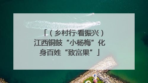（乡村行·看振兴）江西铜鼓“小杨梅”化身百姓“致富果”