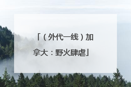 （外代一线）加拿大：野火肆虐