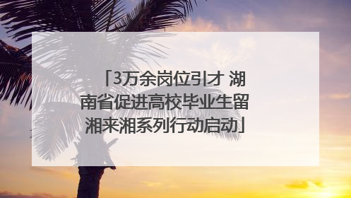 3万余岗位引才 湖南省促进高校毕业生留湘来湘系列行动启动