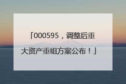 000595，调整后重大资产重组方案公布！