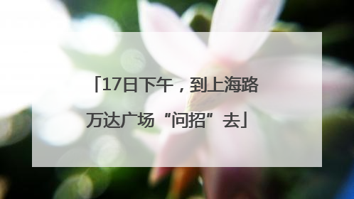 17日下午，到上海路万达广场“问招”去
