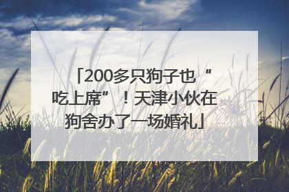 200多只狗子也“吃上席”！天津小伙在狗舍办了一场婚礼