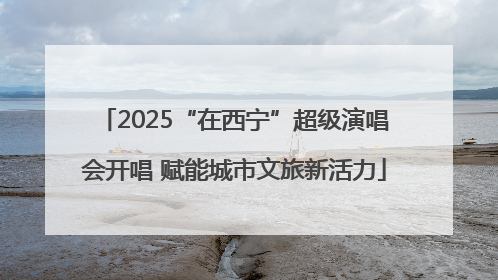 2025“在西宁”超级演唱会开唱 赋能城市文旅新活力