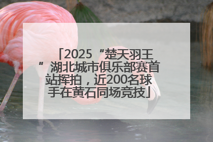 2025“楚天羽王”湖北城市俱乐部赛首站挥拍，近200名球手在黄石同场竞技