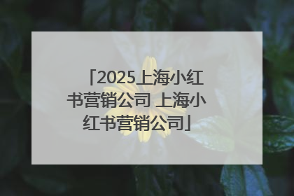 2025上海小红书营销公司 上海小红书营销公司