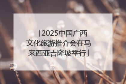 2025中国广西文化旅游推介会在马来西亚吉隆坡举行