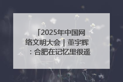 2025年中国网络文明大会｜董宇辉：合肥在记忆里很遥远也很亲切