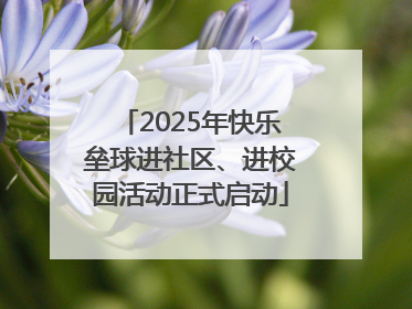 2025年快乐垒球进社区、进校园活动正式启动