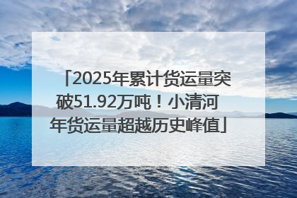 2025年累计货运量突破51.92万吨！小清河年货运量超越历史峰值