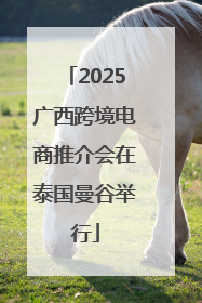 2025广西跨境电商推介会在泰国曼谷举行