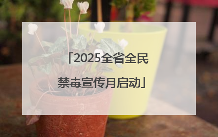 2025全省全民禁毒宣传月启动
