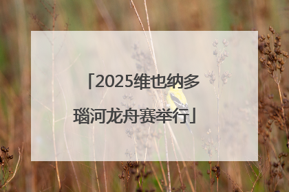 2025维也纳多瑙河龙舟赛举行